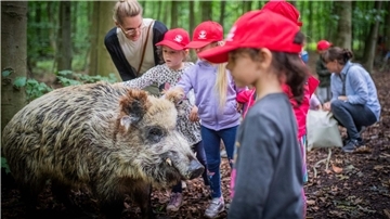 Kinder im Wald