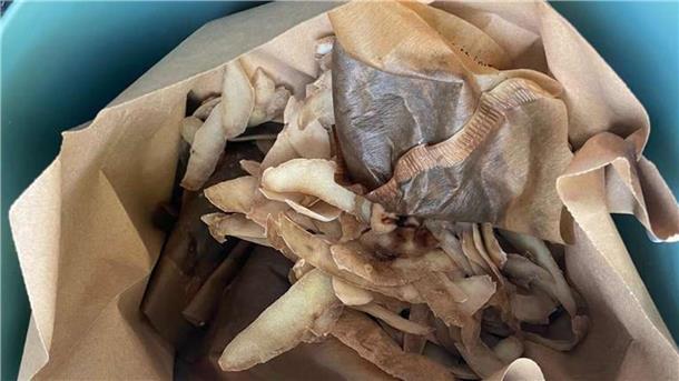 Kaffeefilter, Kartoffelschalen und Co. sind Wertstoffe. Nur landen sie im Landkreis oft genug im Restmüll. Eine Biotonne soll Abhilfe schaffen.