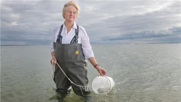 Karen Wiltshire, Stellvertretende Direktorin, Leitung AWI Helgoland und AWI Sylt.