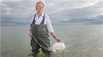 Karen Wiltshire, Stellvertretende Direktorin, Leitung AWI Helgoland und AWI Sylt.