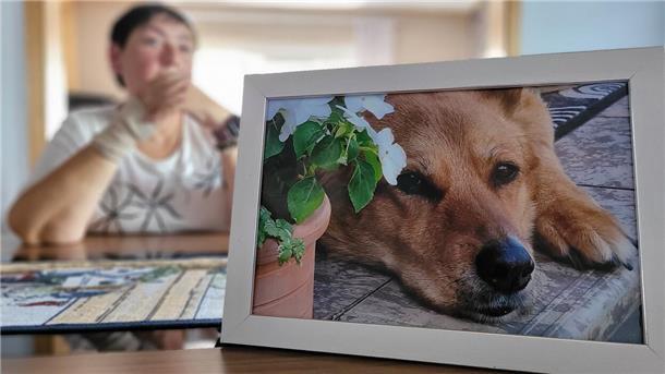 Karin Sottek denkt noch oft an ihren verstorbenen Hund Sebastian.