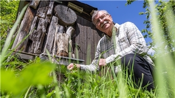 Karsten Klenke ist Wildbienen-Experte. Rund um sein Wohnhaus hat er Nisthilfen für Wildbienen angebracht. Die Vereinten Nationen haben den 20. Mai zum Weltbienentag ausgerufen.