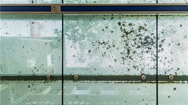 Kein Durchblick: Die Glasdächer an der Fußgängerzone sind stellenweise verdreckt 