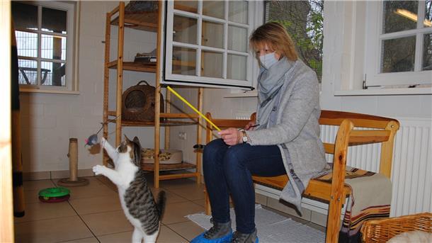 Kerstin Cordes kümmert sich um die Katzen in Helvesiek. Dort betreibt die Tierhilfe Rotenburg eine Auffangstation.