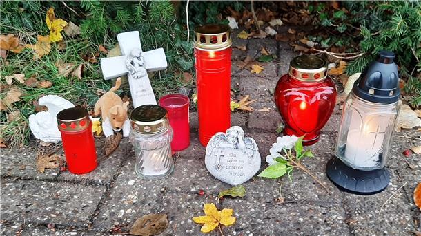 Abschied von Emily Kerzen, Trauerlichter und ein kleines Stofftier erinnern an Emily. Die Familie und Fans der freundlichen Hündin haben sie dort aufgestellt, wo Emily immer saß.