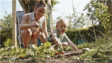 Kinder bevorzugen wilde Gärten, in denen sie sich ausprobieren können - zum Beispiel beim Gärtnern im eigenen Beet.