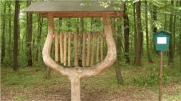 In einem Wald steht ein Klangspiel aus Holz.