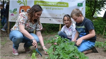 Klassenlehrerin Wibke Ilaender legt auch mit Hand an und unterstützt Miriam und Hendrik gerne beim Gemüse-Einbuddeln.
