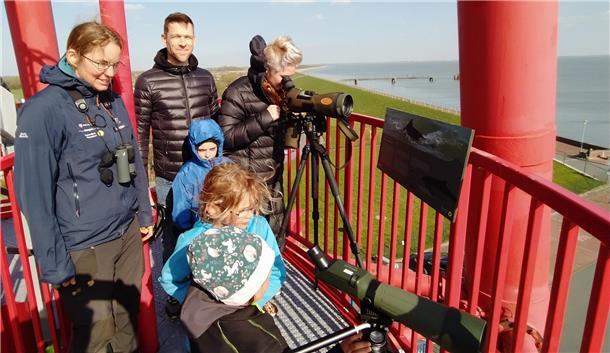 Erwachsene und Kinder stehen auf einem Leuchtturm und halten Ausschau