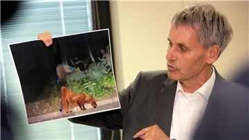 Kleinmachnow-Bürgermeister Michael Grubert erklärt anhand von Fotos, weshalb es sich bei dem gesuchten Raubtier um keine Löwin handelt.