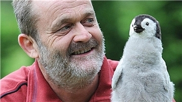 Klemens Pütz Pinguin-Experten