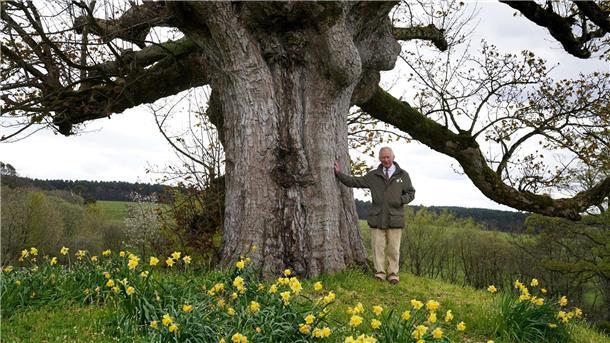 König Charles dankt für drei Millionen gepflanzte Bäume König Charles III. bedankt sich für die Beteiligung an der Initiative namens „Queen’s Green Canopy“ (QGC).