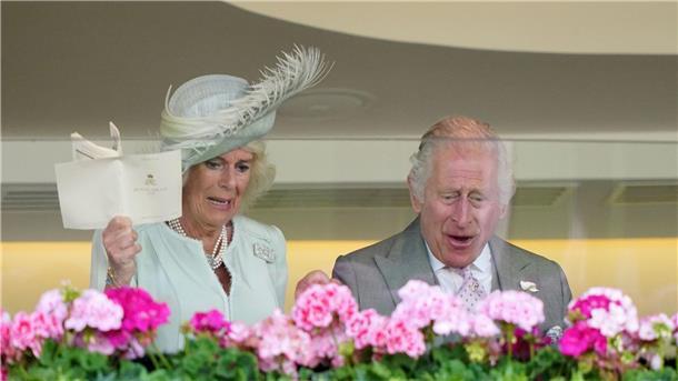 Pferd von König Charles gewinnt Rennen in Ascot König Charles III. und Königin Camilla freuen sich über den Sieg von Desert Hero.