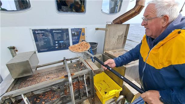 Krabbenfischer Rolf Müller kocht die Krabben direkt auf dem Kutter Claudia.
