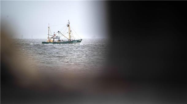 EU-Gericht nickt Fangverbote in der Nordsee ab Krabbenfischer verlieren vor Gericht (Foto-aktuell).
