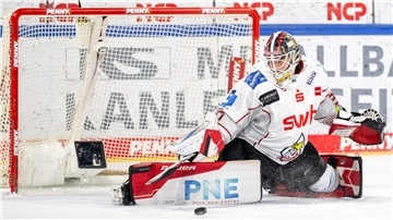 Ein Eishockey-Torhüter in Aktion.