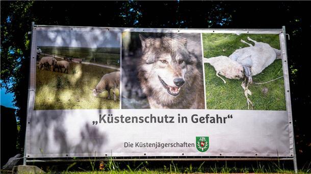 „Küstenschutz in Gefahr“ steht auf einem Plakat, das einen Wolf und ein gerissenes Schaf zeigt.