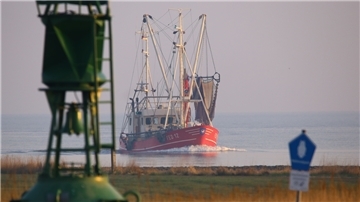Längst können die Fischer den Hafen mit ihren Kuttern nur noch bei Hochwasser anlaufen. Ihnen verbleibt dabei ein Zeitfenster von lediglich drei Stunden.