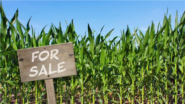 Land ist in Zeiten niedriger Zinsen eine begehrte Geldanlage geworden. Deshalb greifen Investoren immer öfter zu, wenn Ackerland zum Verkauf angeboten wird.