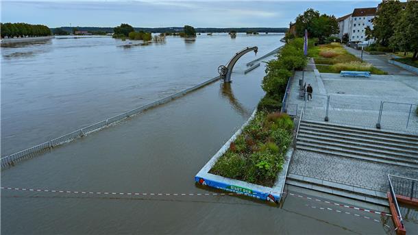 Land unter - die Wassermassen reichen an die Oderpromenade in Frankfurt.