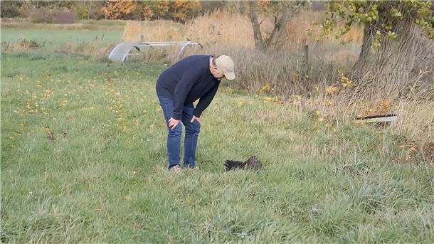 Geflügelpest-Ausbruch ist für Landwirt eine Katastrophe Landwirt Holger Nöhrnberg steht neben einem toten Vogel in der Nähe seines landwirtschaftlichen Betriebes.