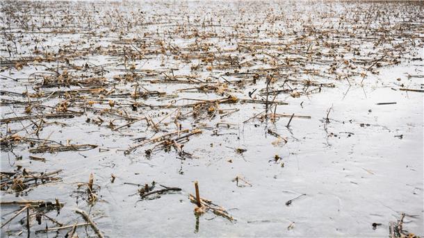 Landwirte können Hochwasserhilfen beantragen Landwirte in Niedersachsen können nun Anträge für Hochwasserhilfen einreichen. (Archivbild)