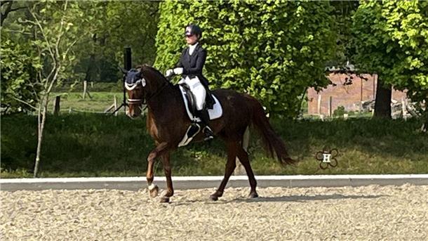 Laurien Steinhoff vom Wurster Reitklub tanzt mit der Stute Flash Dance in der S*-Dressur durch das Viereck beim Reitturnier des RV Hahnenknoop.