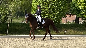Laurien Steinhoff vom Wurster Reitklub tanzt mit der Stute Flash Dance in der S*-Dressur durch das Viereck beim Reitturnier des RV Hahnenknoop.