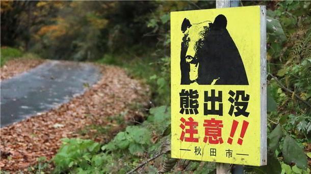 Laut Behördenangaben wurden seit April landesweit 13 Menschen von Bären getötet. (Archivbild)