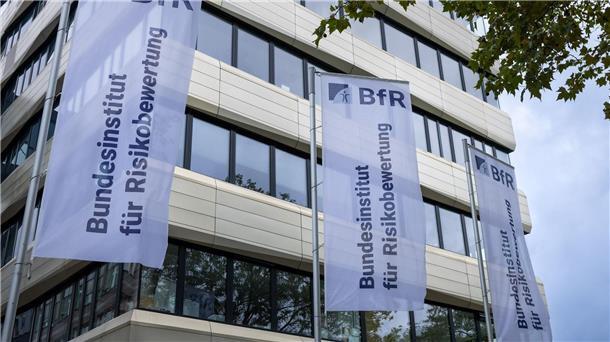 Laut dem Bundesinstitut für Risikobewertung sind 5 bis 10 Gramm Koffein-Pulver bereits potenziell tödlich. (Archivbild)