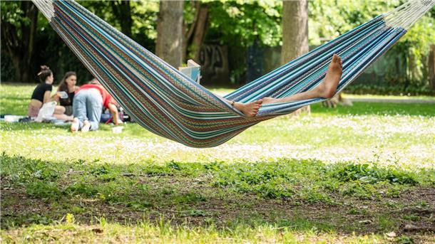 Laut einer Umfrage nutzen nur wenige Arbeitnehmerinnen und Arbeitnehmer in Deutschland die Möglichkeit, bezahlten Bildungsurlaub zu nehmen oder ein Sabbatical einzulegen.
