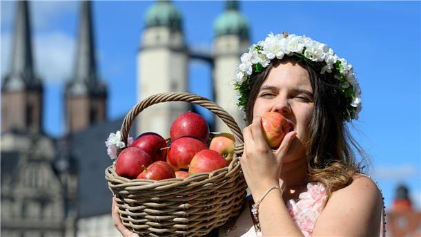 Bilder des Tages Lecker, die Apfelsaison beginnt!