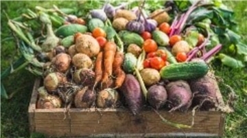 „Leckeres aus dem Garten“ gibt es im Zuge eines Kochkurses der ABS.