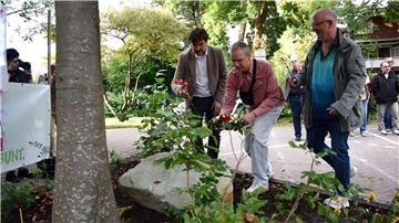 „Nie wieder Krieg“ lautete das Motto der Veranstaltung, zu der rund 50 Teilnehmer kamen. Dabei wurden Blumen und Gestecke vor dem Friedensbaum bei der Stadtbücherei niedergelegt.