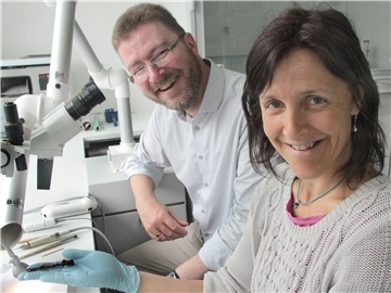 Lena Geidner und Dr. Stefan Hesse, der Leiter der Rotenburger Kreisarchäologie. Die Restauratorin hält eine 2020 in der Gemarkung Sittensen gefundene eiserne Pinzette zur Körperpflege (zwischen 700 und 400 Jahren vor Christus) in Händen.
