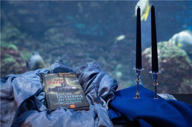 Steht im Zentrum einer ungewöhnlichen Wissenschaftsveranstaltung: Neuerscheinung von Bettina Wurche zum Jules Verne Klassiker „20.000 Meilen unter dem Meer“