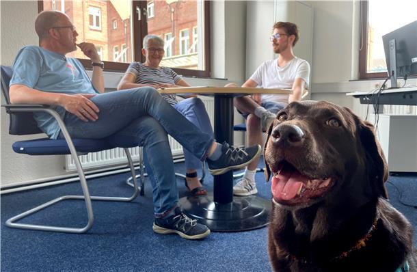 Lotta hört bei einer Redaktionskonferenz zu. Sie ist nicht der einzige Hund in der Kreiszeitung, der ab und an zu Besuch ist. Manchmal bringt eine Mediaberaterin ihren Spencer mit.