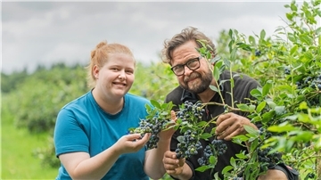 Lotte und Stefan Lutter: Heidelbeergenuss beginnt für Tochter und Vater direkt am Strauch auf der eigenen Plantage in Ahlen-Falkenberg.