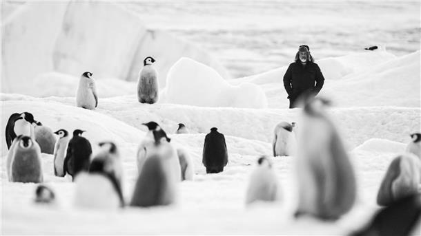 Luc Jacquet mit Kaiserpinguinen in einer Szene des Films „Rückkehr zum Land der Pinguine“