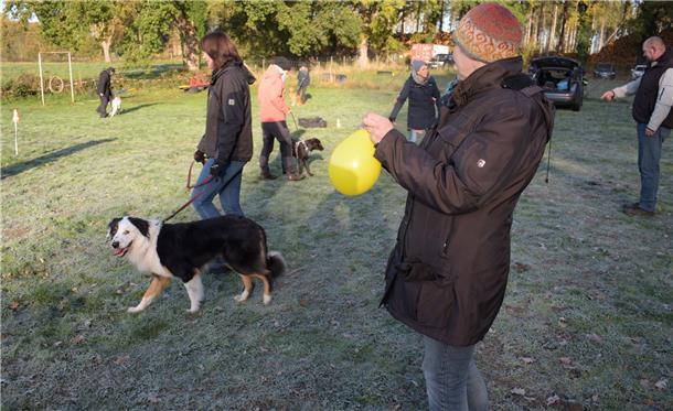 In "Struppies Hundeschule" in Hagen lernen Vierbeiner, entspannter mit lauten Geräuschen umzugehen.  