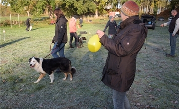 In "Struppies Hundeschule" in Hagen lernen Vierbeiner, entspannter mit lauten Geräuschen umzugehen.  