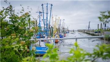Wurster Küste Wattenmeer Kutterhafen