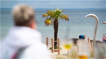 Mallorca oder doch Ostsee? Palmen sollen für mehr Urlaubsgefühl sorgen.