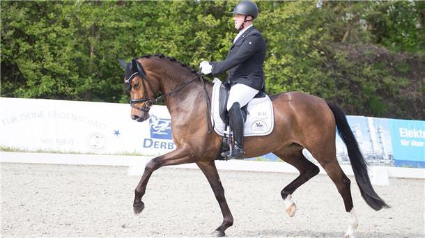 Malte Kalus vom RV Elmlohe-Marschkamp startet am Wochenende bei den Dressur Days der Elmlohe Open.