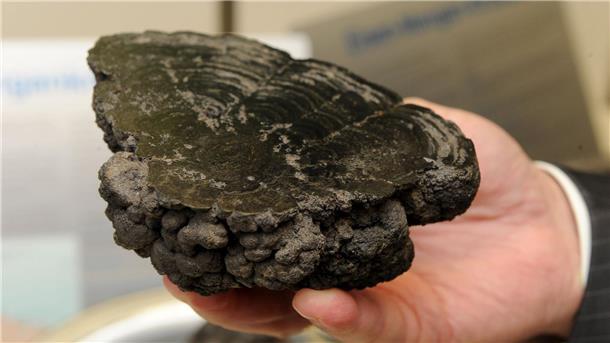 Studie: Metallknollen in der Tiefsee erzeugen Sauerstoff Manganknollen können einer Studie zufolge auf dem Meeresboden Sauerstoff erzeugen. (Archivbild)