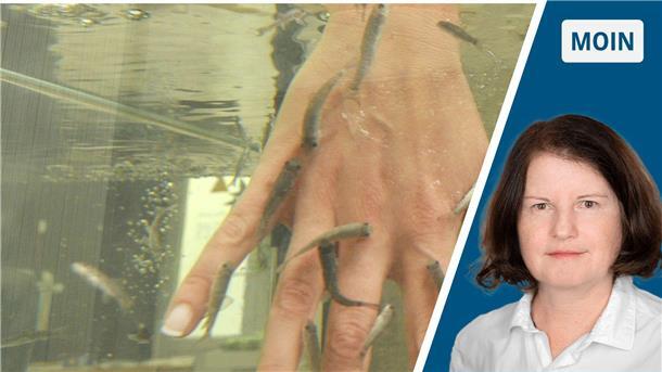 Maniküre im Fisch-Spa