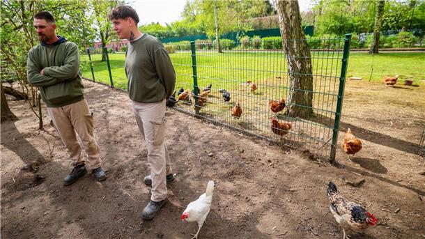 Manuel und Ryan haben im Gefängnis Arbeit im Hühner-Gehege.