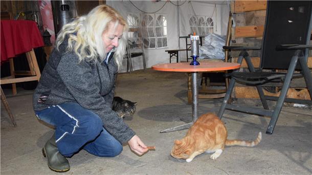 Eine Frau füttert einen Kater. 
