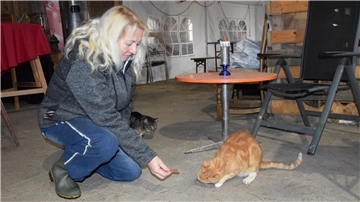 Eine Frau füttert einen Kater. 