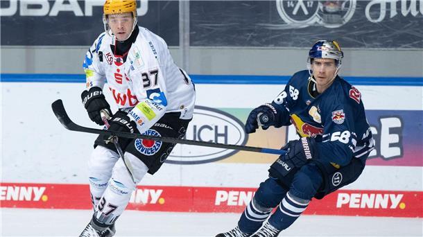 Bremerhaven Pinguins verlieren Champions-League-Heimspiel Markus Vikingstad (l) traf für die Fishtown Pinguins zum zwischenzeitlichen Ausgleich.